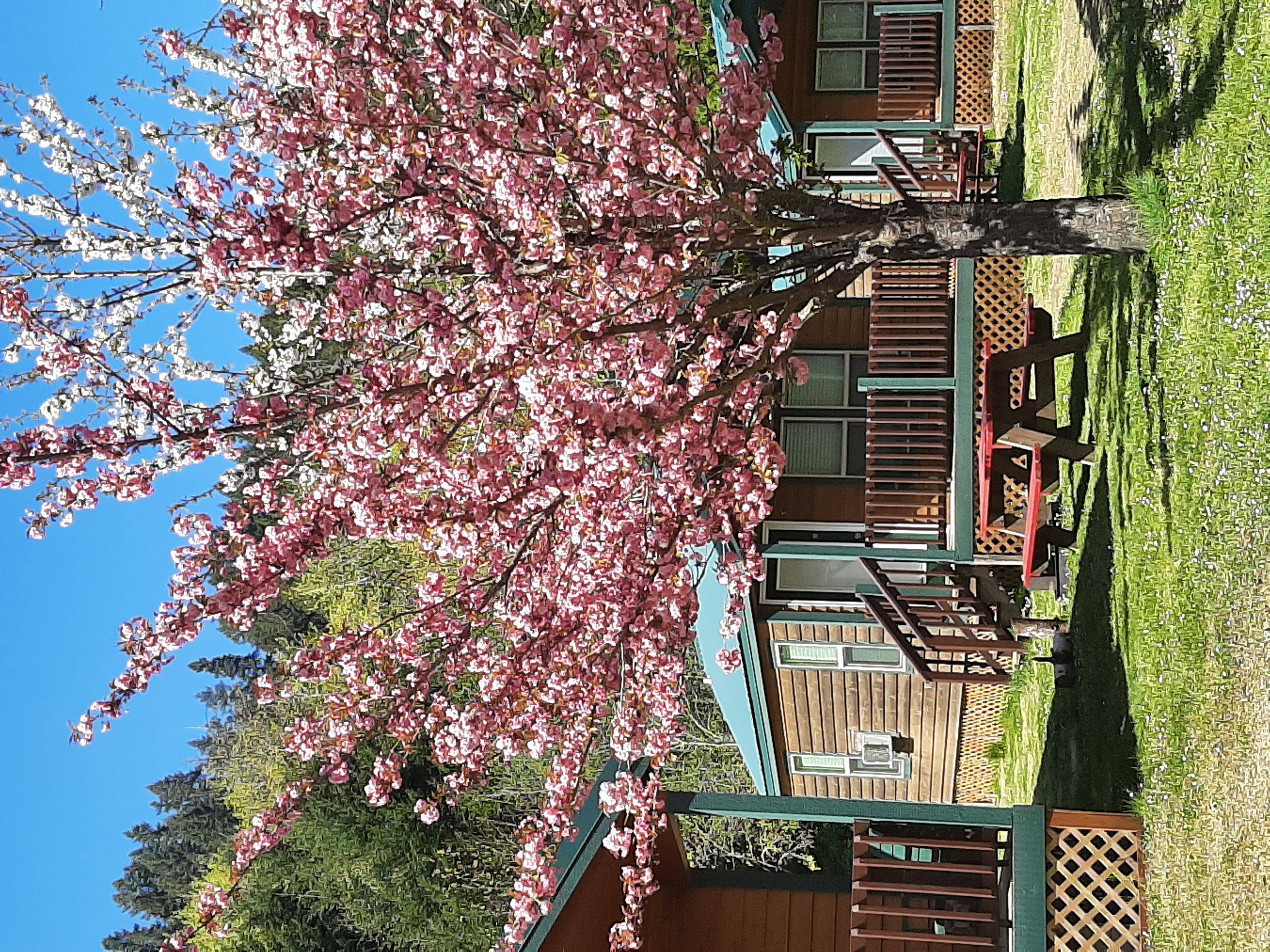 Loon Lake Lodge and RV Resort